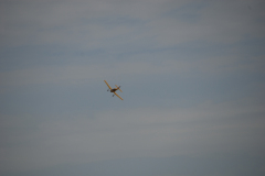 flugtage_167_20131003_1762938669