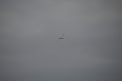 flugtage_211_20131003_1860924865