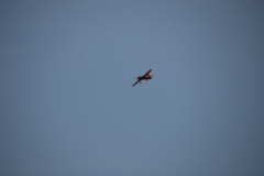 flugtage_84_20131003_1665965846