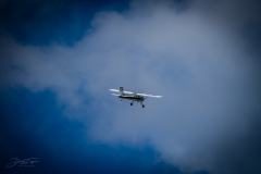 bernsbach_55_20220528_2093241916