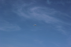 flugtag_reinholdshain_120_20120428_1245939740
