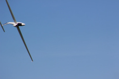 flugtag_reinholdshain_127_20120428_1126986576