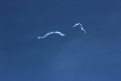 flugtag_reinholdshain_140_20120428_1864054140