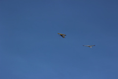 flugtag_reinholdshain_214_20120428_2007166899
