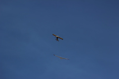 flugtag_reinholdshain_215_20120428_1602556974
