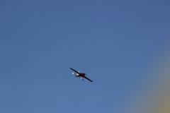 flugtag_reinholdshain_252_20120428_2047809086