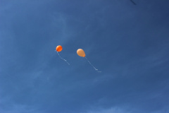 flugtag_reinholdshain_280_20120428_1591323768