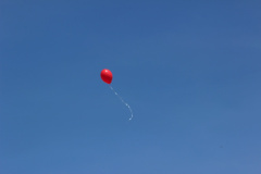 flugtag_reinholdshain_71_20120428_1385037098