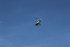 flugtag_reinholdshain_73_20120428_1008919125