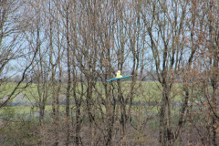 flugtag_reinholdshain_76_20120428_2028673754