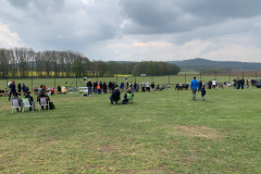 reinholdshain2019-_10_20190429_2072703488