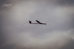 schwarte-2023-_12_20230730_1511537443