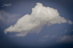 schwarte-2023-_15_20230730_1502687839