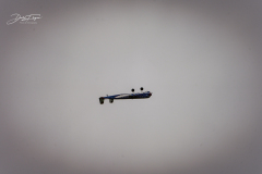 schwarte-2023-_30_20230730_1108198608