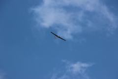 fw-august-_104_20190810_1651141471