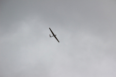 fw-august-_105_20190810_1389989105