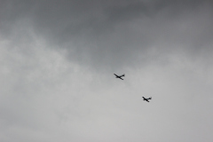 fw-august-_118_20190810_1772718928