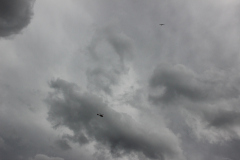 fw-august-_126_20190810_1655035554