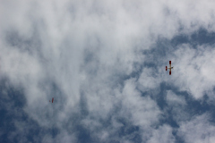 fw-august-_134_20190810_1903707822