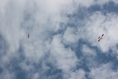fw-august-_135_20190810_1068496636