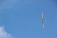 fw-august-_138_20190810_1540172764
