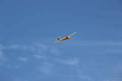 fw-august-_141_20190810_1650453994