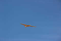 fw-august-_142_20190810_1014408324