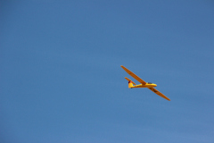 fw-august-_143_20190810_1451517604