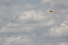 fw-august-_146_20190810_1584045160
