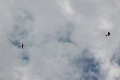 fw-august-_167_20190810_1166530006
