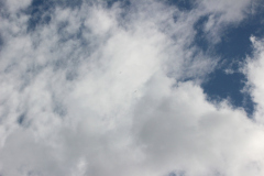 fw-august-_170_20190810_1223441586