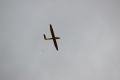 fw-august-_21_20190810_1263651773