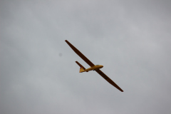 fw-august-_25_20190810_1689610310