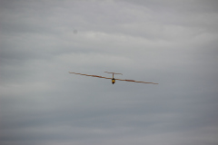 fw-august-_28_20190810_1118880728