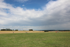 fw-august-_50_20190810_2001916093
