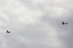 fw-august-_58_20190810_1150213358