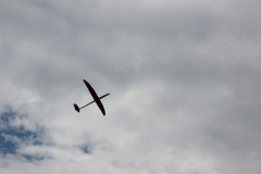 fw-august-_63_20190810_1975738884