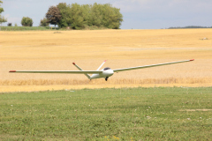 fw-august-_84_20190810_1838827666