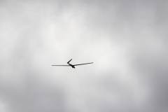 fw-august-_90_20190810_1812648646