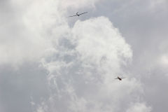 fw-august-_91_20190810_1671282909