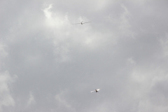 fw-august-_92_20190810_1603888683
