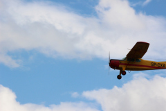 fw-august-_97_20190810_1331902597