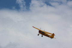fw-august-_99_20190810_1056874374