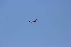 flyingcircus2k15_124_20150714_2043556132