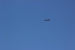 flyingcircus2k15_137_20150714_1242729271