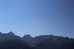 flyingcircus2k15_138_20150714_2014654489