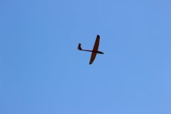 flyingcircus2k15_140_20150714_2034047331