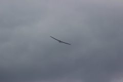 flyingcircus2k15_165_20150714_1504596253
