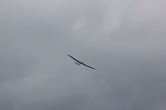 flyingcircus2k15_166_20150714_1385378384