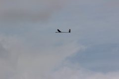 flyingcircus2k15_168_20150714_1492485961